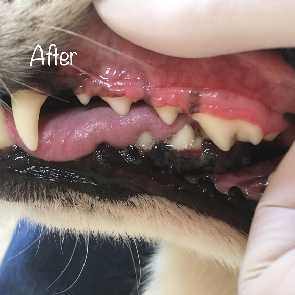 After After